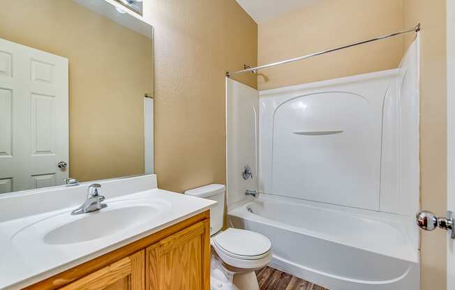 a bathroom with a sink toilet and shower and a tub