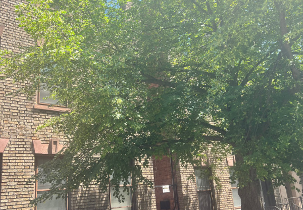 371 HUDSON AVE