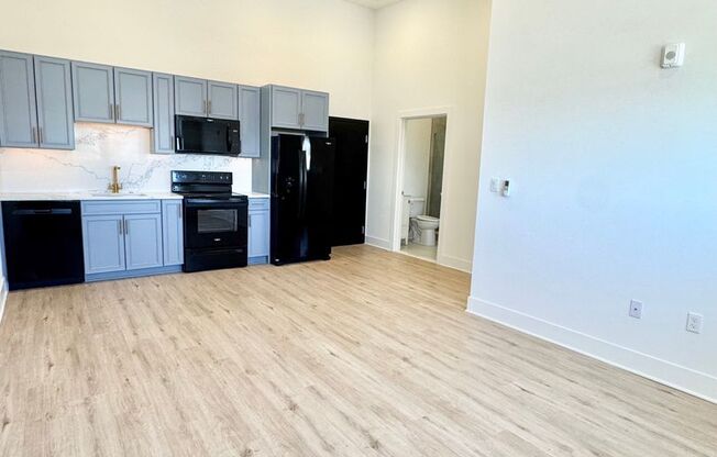 1 bed, 1 bath, 527 sqft, $1,295, Unit 506