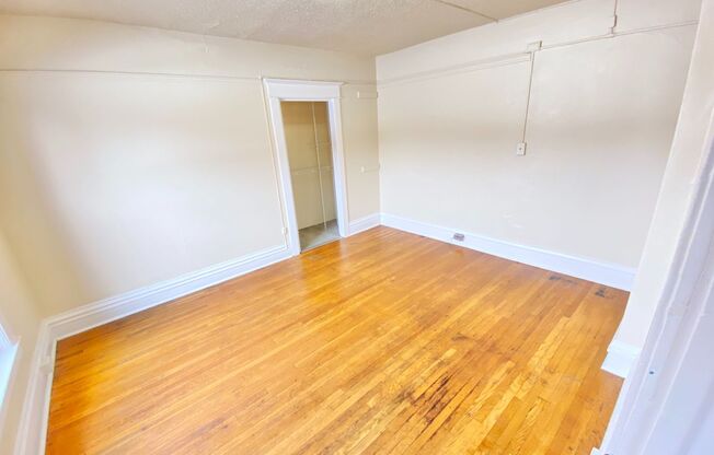 1 bed, 1 bath, 500 sqft, $1,495, Unit 203