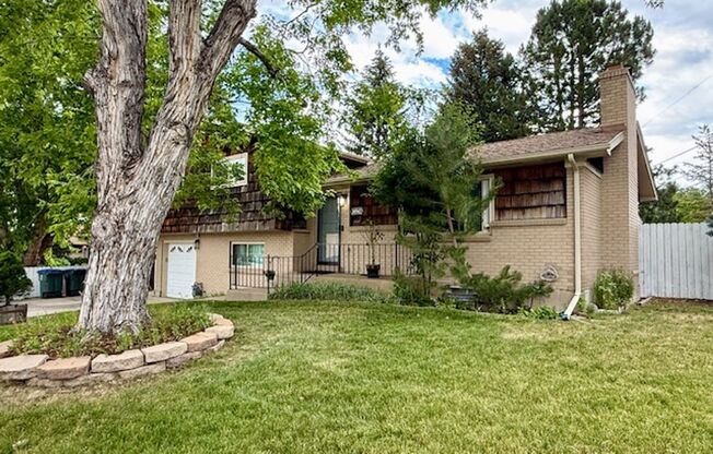 Park-like Yard, Updated Home