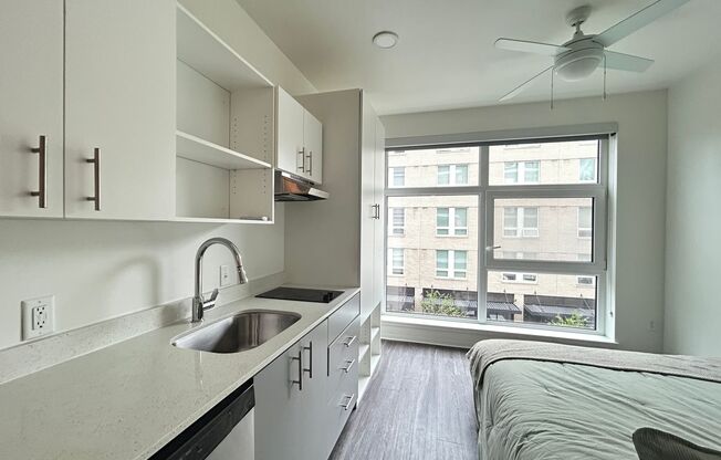 Studio, 1 bath, 226 sqft, $1,000, Unit 317