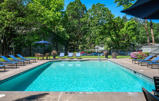 a swimming pool with chairs and umbrellas in a yard with trees