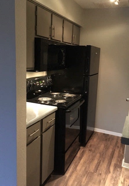 Trails of Walnut Creek kitchen stove, refrigerator, and cabinets