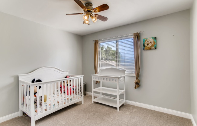 29 W 365 CRABTREE LN