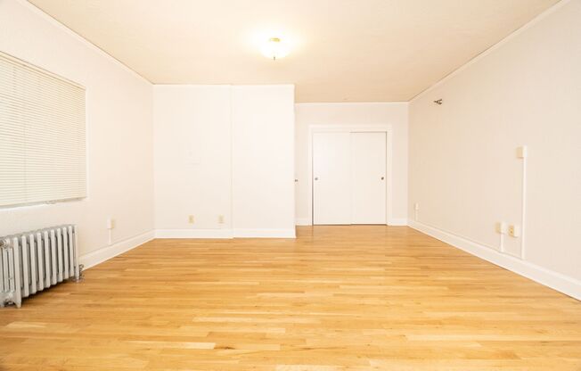 Studio, 1 bath, 370 sqft, $1,100, Unit 102
