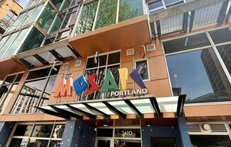 Stunning Penthouse Loft in the Mosaic Condos - Gas Fireplaces, A/C, W/D in unit!