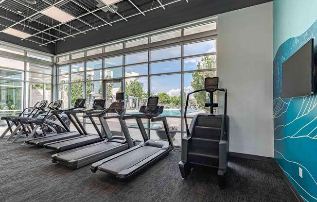 a gym with rows of cardio equipment and a wall of windows