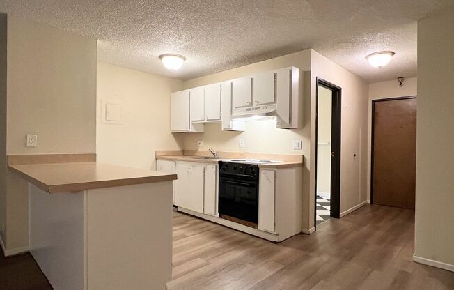 Studio, 1 bath, 495 sqft, $1,125, Unit 3