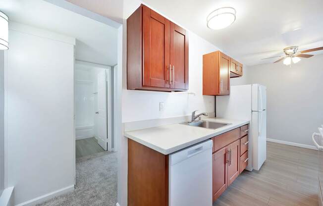 The Canopy | Kitchen