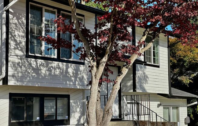 4BR | 3BA Spacious House with Large Backyard