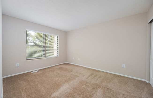 an empty living room with a window and carpeting