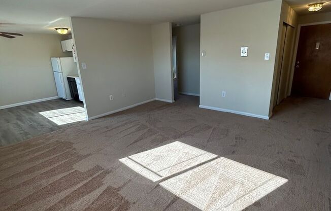 1 bed, 1 bath, $1,250, Unit 307