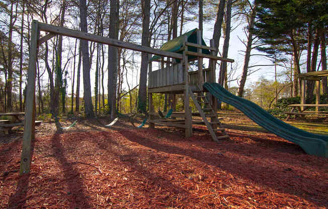 Brix on Beech