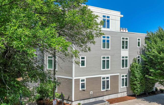 A grey building with green trees in front at 7 Cameron Apartments, Cambridge 02140