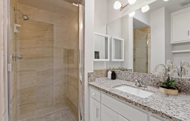 a bathroom with a sink and a shower