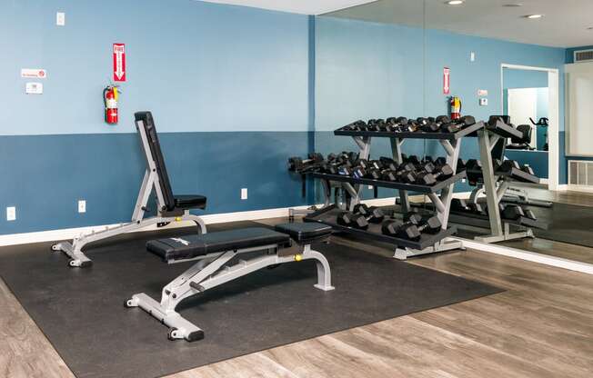 a gym with weights and cardio equipment at the belgard apartments