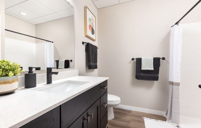 Studio, 1 bath, 445 sqft, $1,345, Unit 141