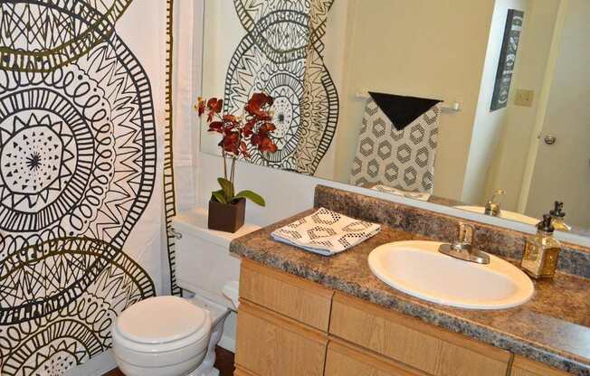 Willows of Coventry Apartments Bathroom