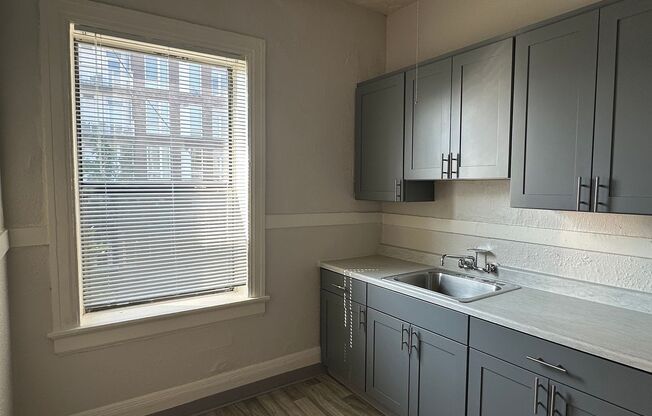 1 bed, 1 bath, 468 sqft, $1,095, Unit 208