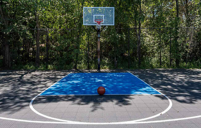 outdoor full size basketball hoop with ball