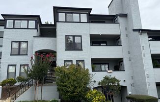 Hayward Condo 1 Bed/1 Bath Updated kitchen, lots of light and Bay views, dogs welcome