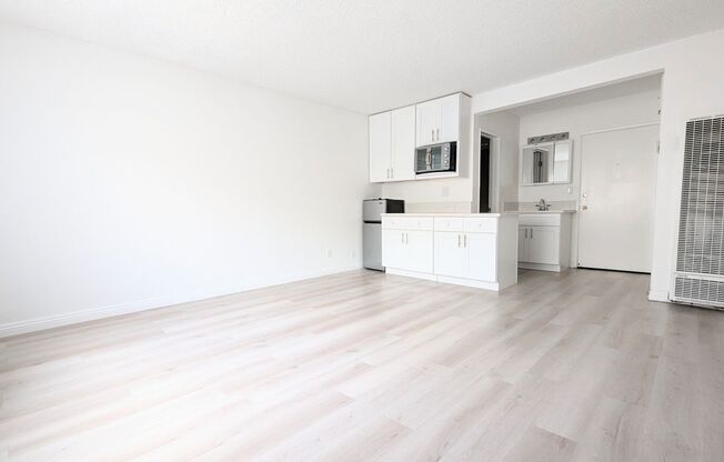 Studio, 1 bath, 263 sqft, $1,399, Unit 308