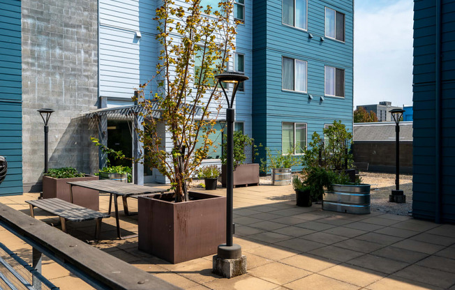 a patio with benches and a tree in front of a blue building