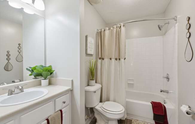 a bathroom with a shower toilet and sink and a mirror