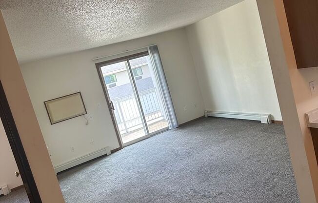 1 bed, 1 bath, 700 sqft, $725, Unit 207