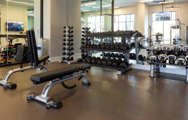 Free Weights Included In Studio