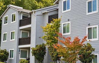 Charming 2-Bedroom Condo in the heart of Kenmore