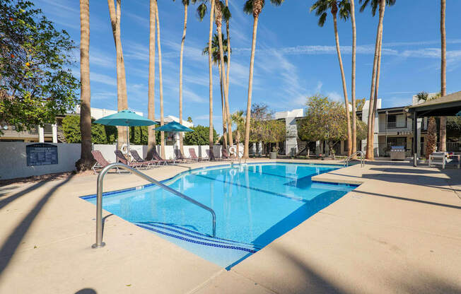 A swimming pool surrounded by palm trees and lounge chairs.