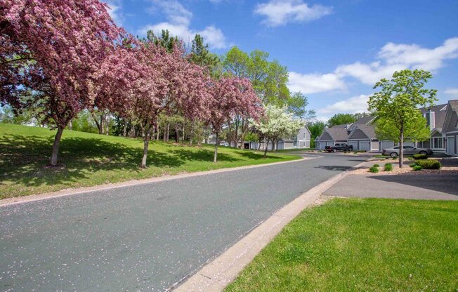 flowering trees line the street in a neighborhood with houses