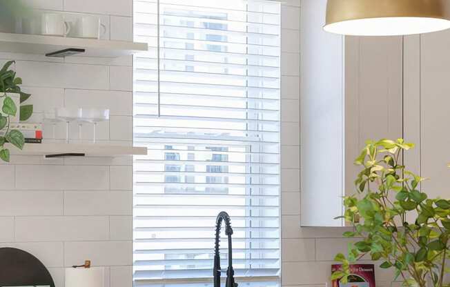 Clean kitchen with stainless steel appliances and modern shelving at Novel Cary