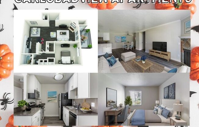 1 bed, 1 bath, 815 sqft, $2,295, Unit 157