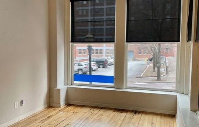 Studio, 1 bath, 982 sqft, $1,550, Unit 111