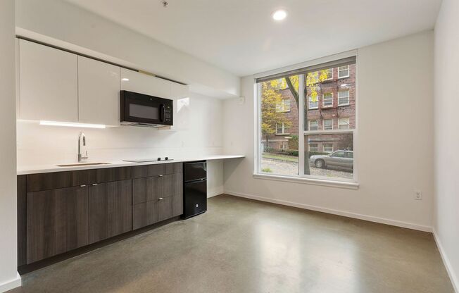 Studio, 1 bath, 342 sqft, $1,450, Unit 502