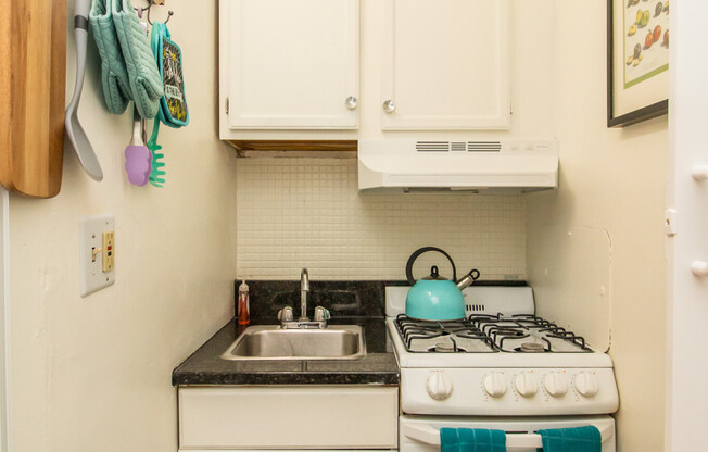 Studio, 1 bath, 450 sqft, $3,800, Unit C4