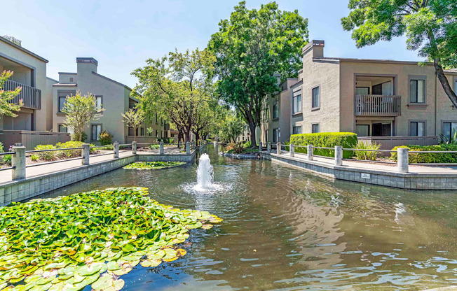 Dog Friendly Apartments in Walnut Creek CA - Park Lake at Walnut Creek - Breathtaking Water Fountain, Greenery, and Walkways