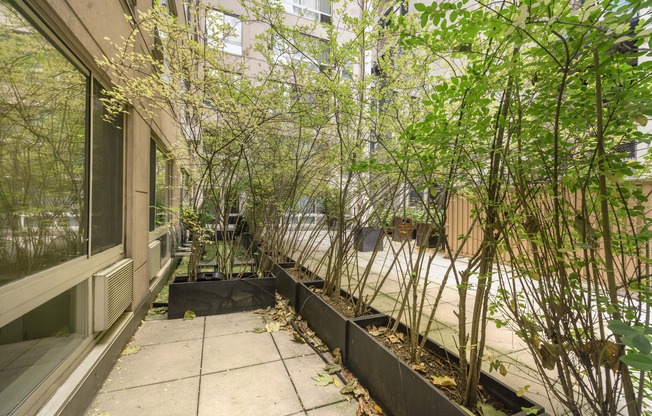 2 beds, 2 baths, $6,395, Unit 2B