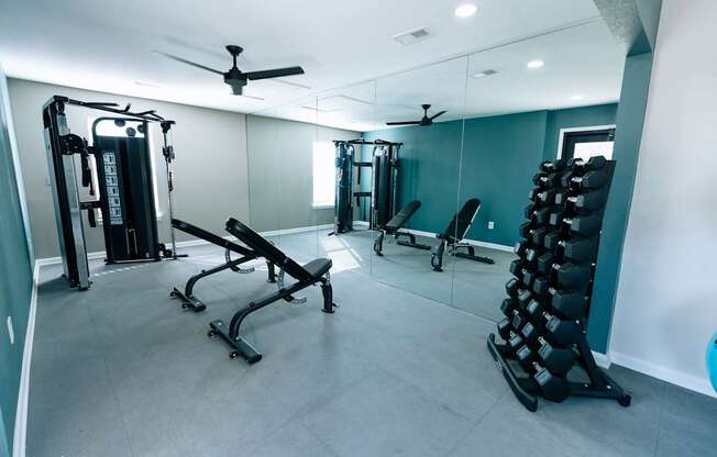 A gym with a variety of equipment including a squat rack, bench press, and a mirror.