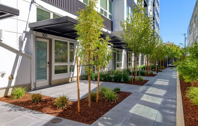 Studio, 1 bath, 452 sqft, $1,185, Unit 102