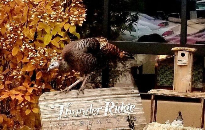 1 bed, 1 bath, 640 sqft, $1,050