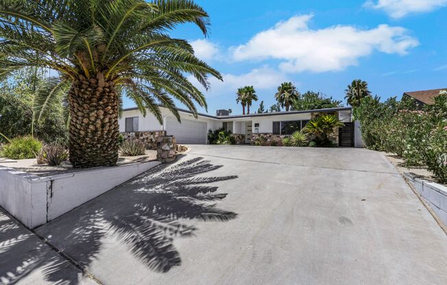 Stunning Mid Century Modern