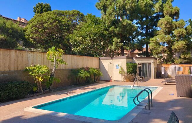 1 bed, 1 bath, $2,395, Unit 28