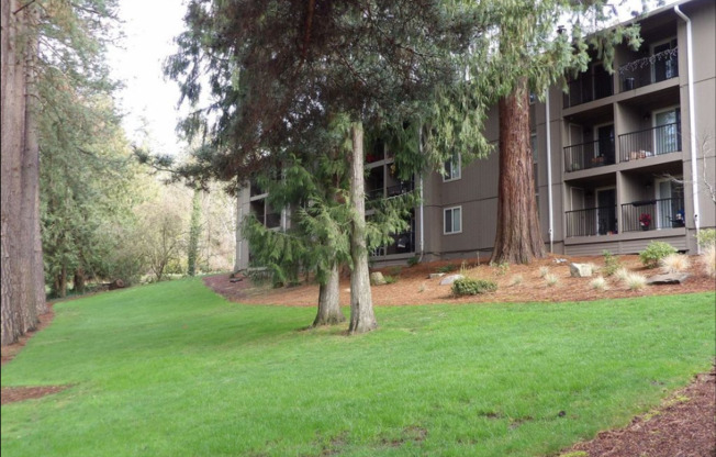 Great West Slope Condo!