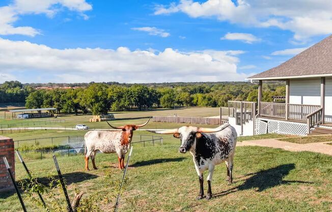 Alvarado Ranch W/ Private Pool & Fenced-In Longhorns