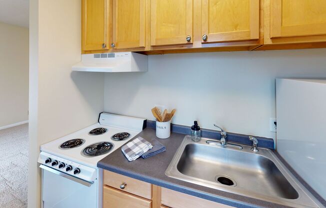 Studio, 1 bath, 365 sqft, $945, Unit 3953202