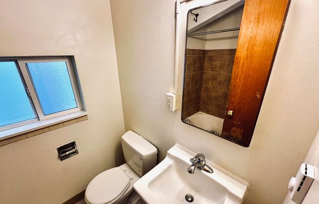 Studio, 1 bath, 350 sqft, $1,295, Unit 203